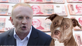 U AUSTRIJI NAMETI ZA PSE 120 EVRA, U ĐILASOVO VREME BIO JE 300 Tamo napuštaju ljubimce, ovde nam se to desilo 2011. i ne ponovilo se